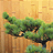 迪威網(wǎng)友1hUINi